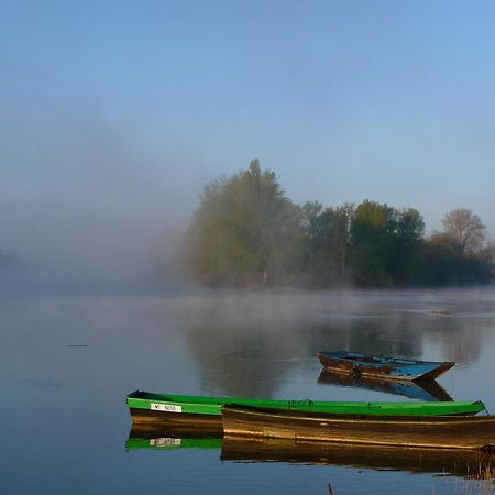 Escale De Loire Bed & Breakfast Chouzé-sur-Loire Dış mekan fotoğraf