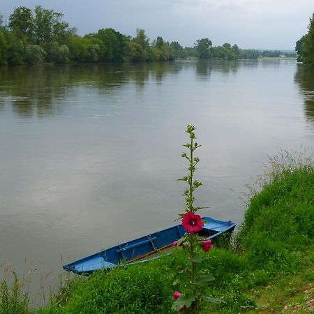 Escale De Loire Bed & Breakfast Chouzé-sur-Loire Dış mekan fotoğraf