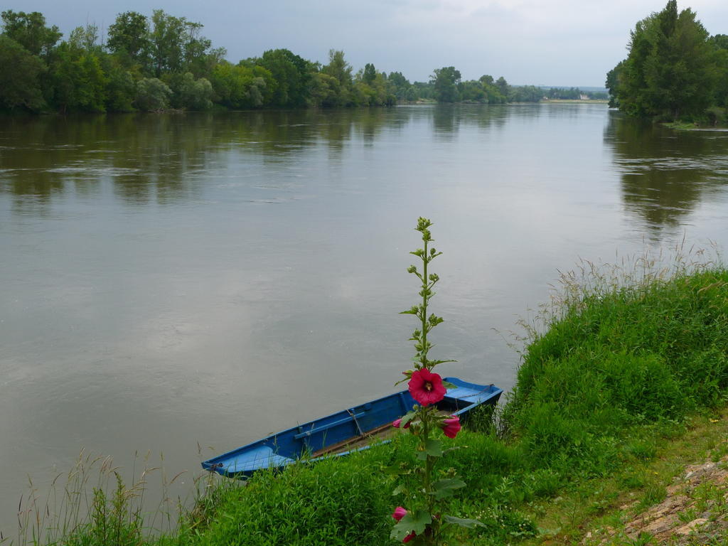 Escale De Loire Bed & Breakfast Chouzé-sur-Loire Dış mekan fotoğraf