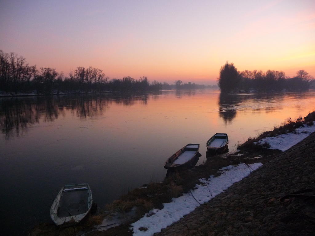 Escale De Loire Bed & Breakfast Chouzé-sur-Loire Dış mekan fotoğraf