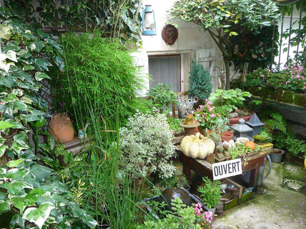 Escale De Loire Bed & Breakfast Chouzé-sur-Loire Dış mekan fotoğraf