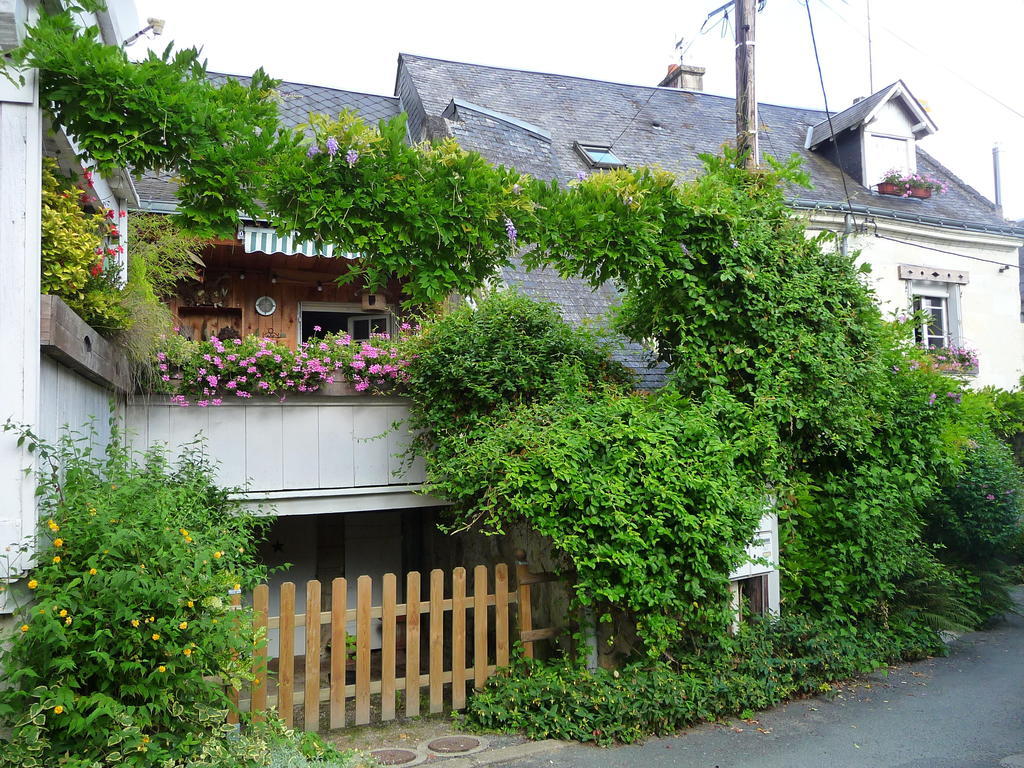 Escale De Loire Bed & Breakfast Chouzé-sur-Loire Dış mekan fotoğraf
